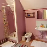 Accommodatie bij particulieren France Petit Chateau *